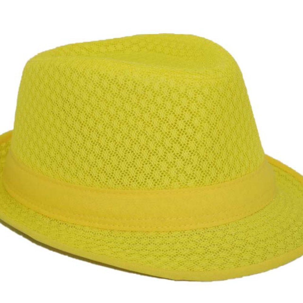 Mesh Fedora - Picture 11 of 16